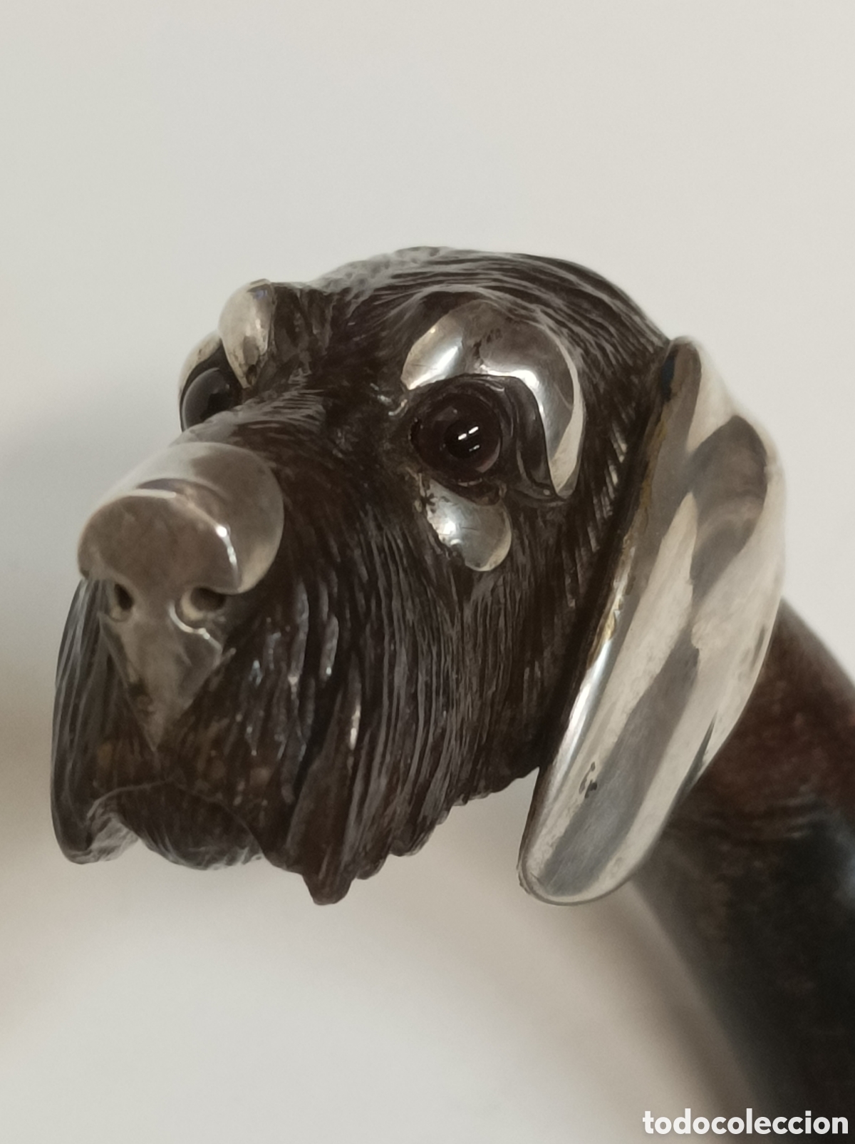 Antig&uuml;edades: Antiguo Bast&oacute;n Ingl&eacute;s perro plata - Foto 7