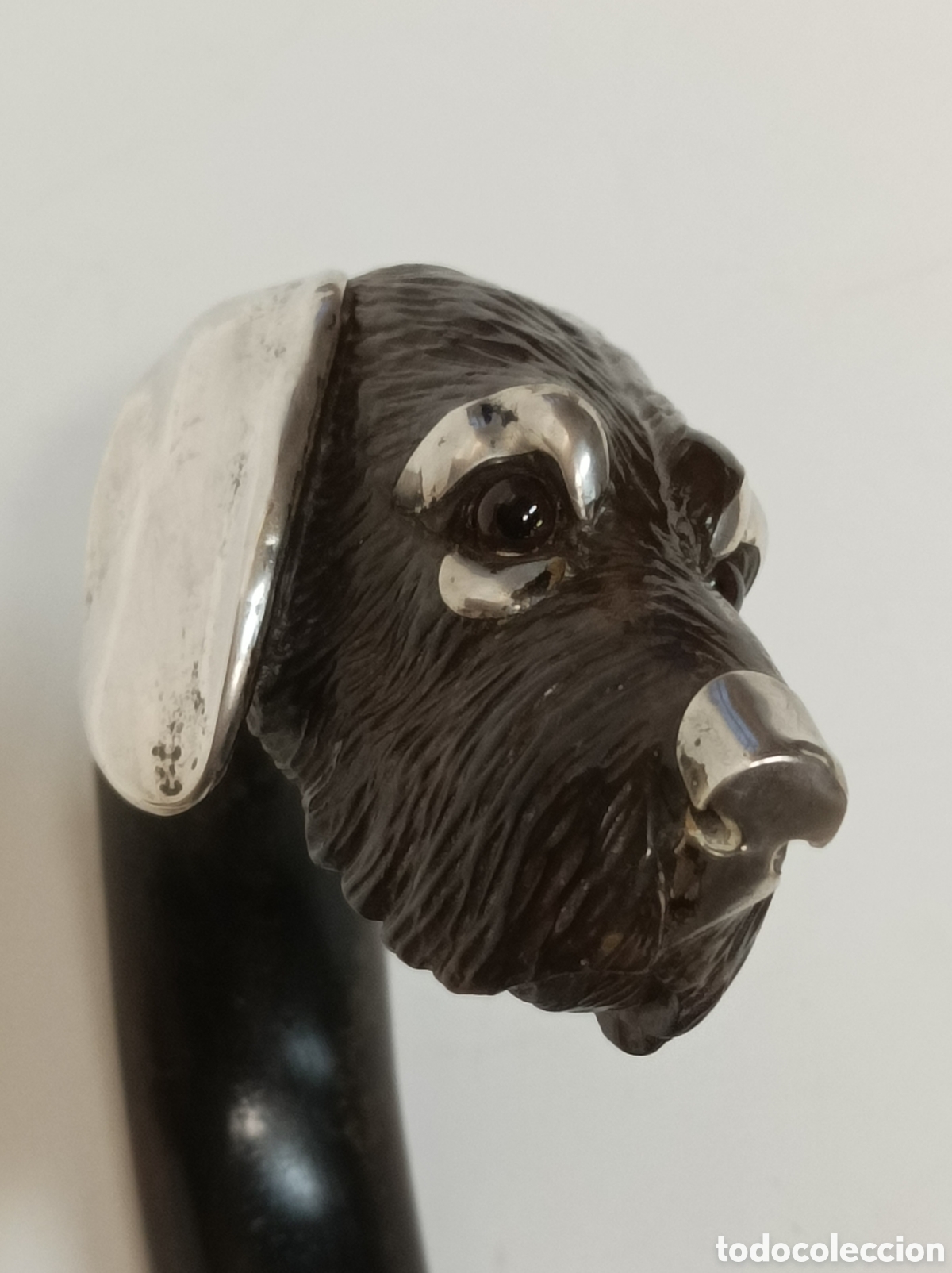 Antig&uuml;edades: Antiguo Bast&oacute;n Ingl&eacute;s perro plata - Foto 8