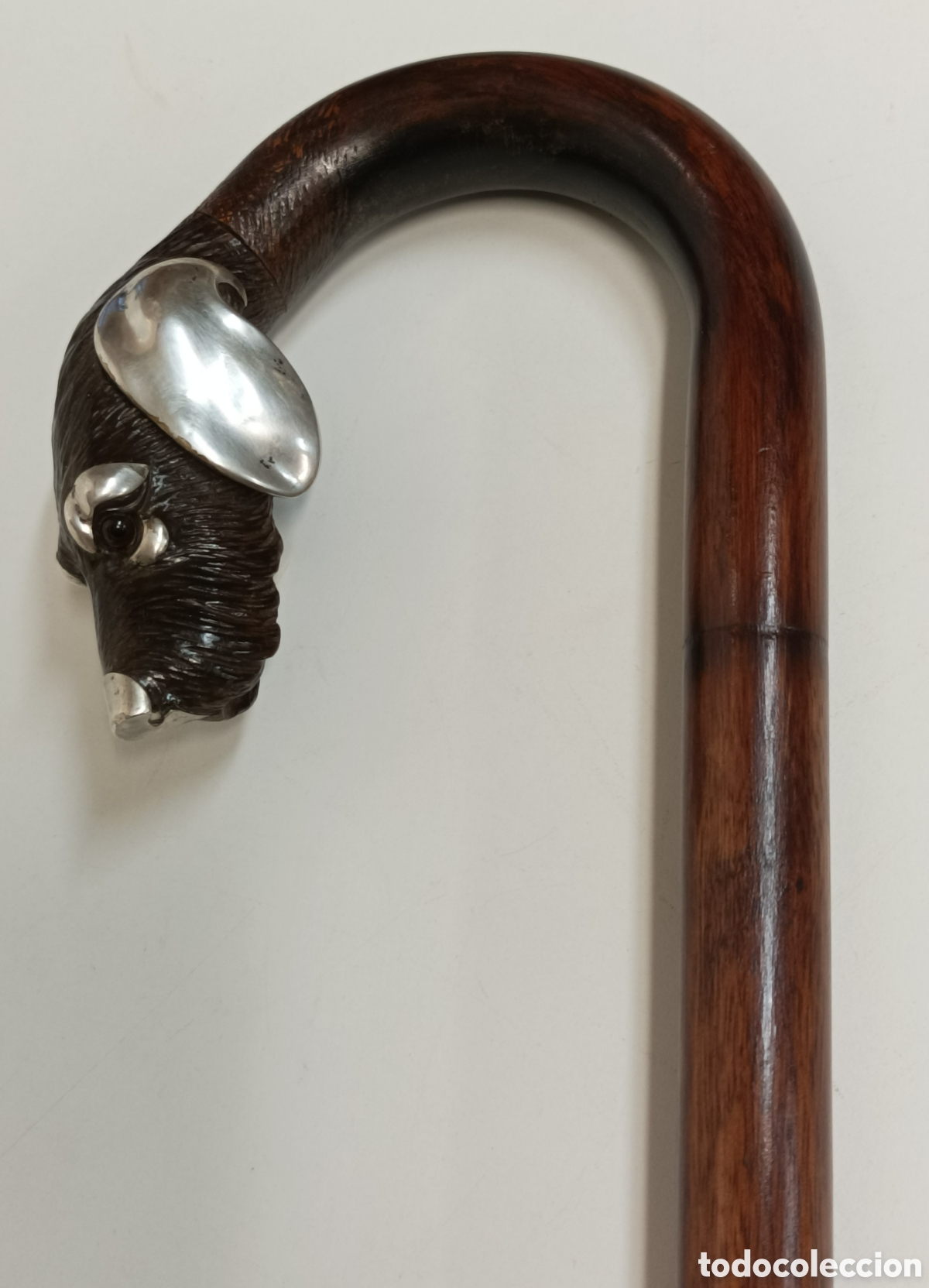 Antig&uuml;edades: Antiguo Bast&oacute;n Ingl&eacute;s perro plata - Foto 10