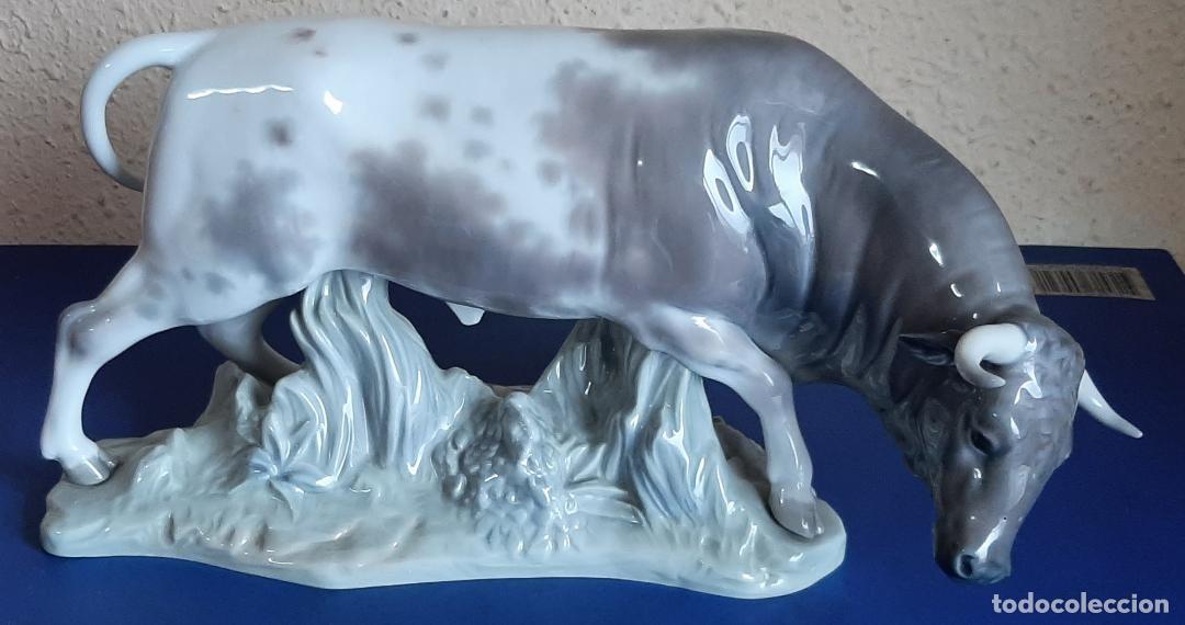 Antig&uuml;edades: (ANT-230206)ESPECTACULAR TORO DE LLADRO - Foto 5