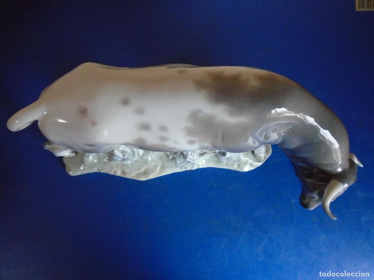 Antig&uuml;edades: (ANT-230206)ESPECTACULAR TORO DE LLADRO - Foto 17