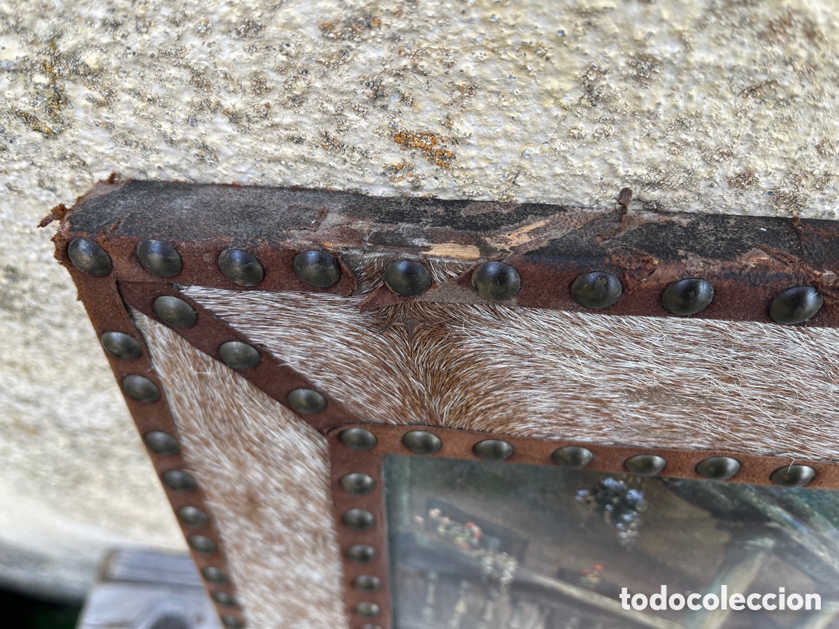 Antig&uuml;edades: Marco de piel con pelo. Cristal. - Foto 4