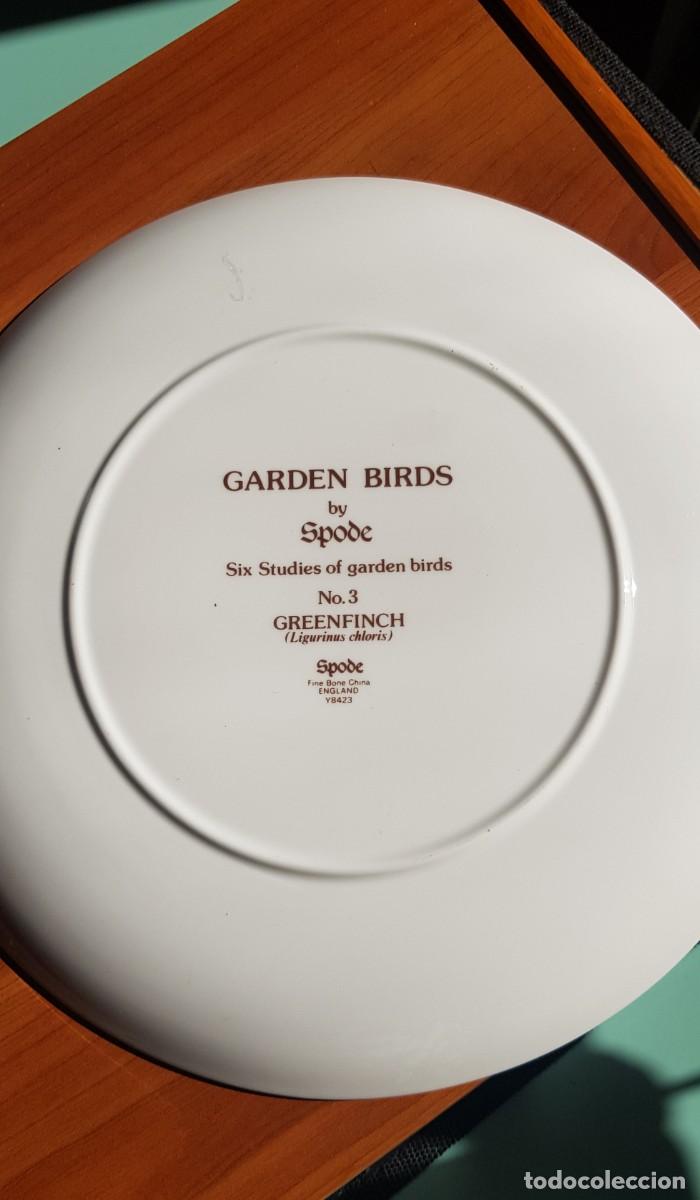 Antig&uuml;edades: Plato porcelana inglesa - Foto 2