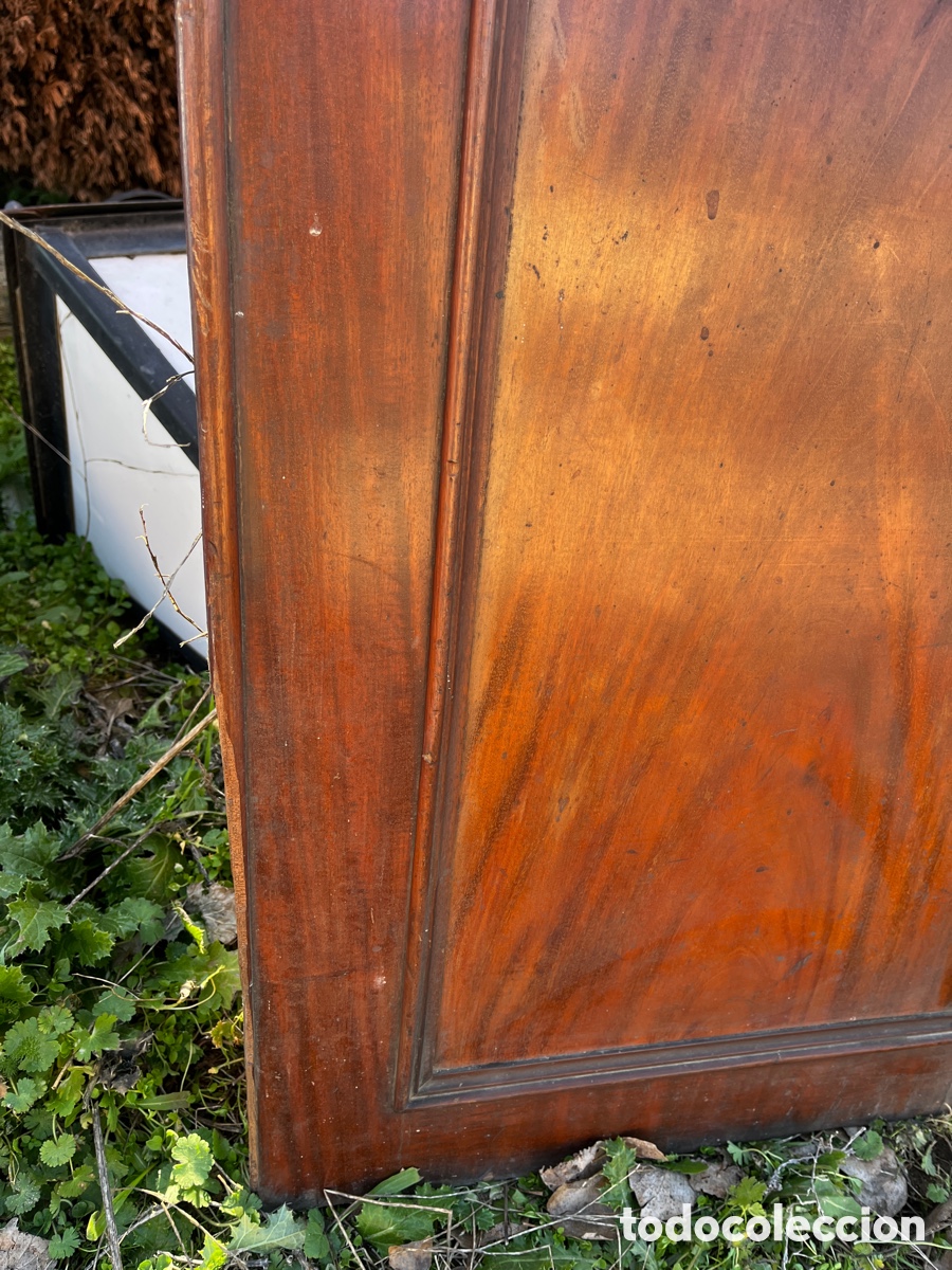 Antig&uuml;edades: Puerta de armario de madera de caoba. - Foto 4