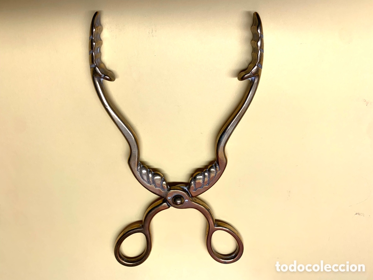 Antig&uuml;edades: ANTIGUAS PINZAS DE BRONCE - Foto 9