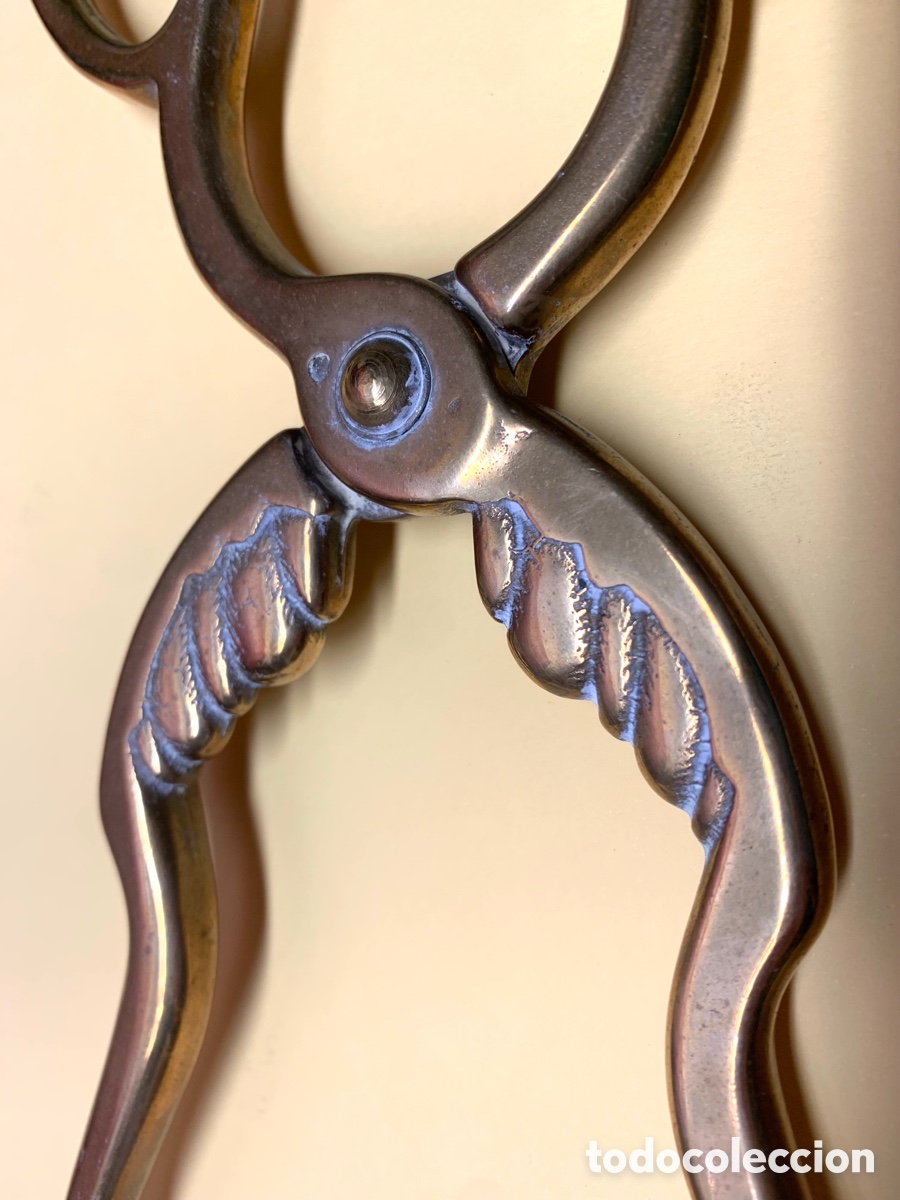 Antig&uuml;edades: ANTIGUAS PINZAS DE BRONCE - Foto 13