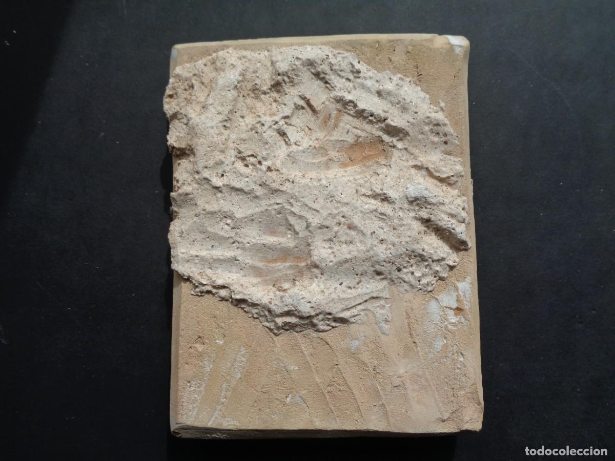 Antig&uuml;edades: NUMERO 5 DE CERAMICA - Foto 2