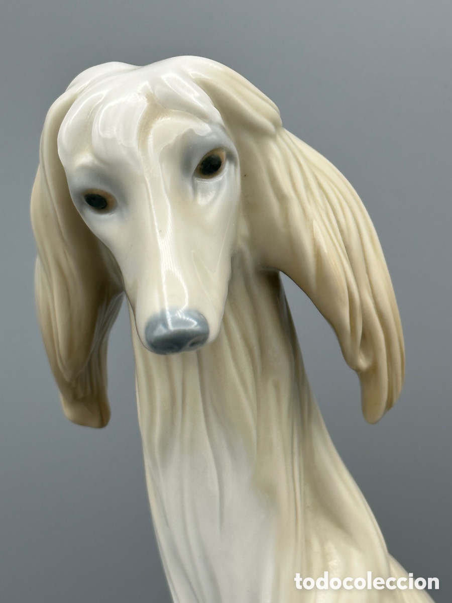 Antig&uuml;edades: REF: 01001069 &ldquo;GALGO NOBLE&rdquo; AFGANO LLADR&Oacute; - Foto 3