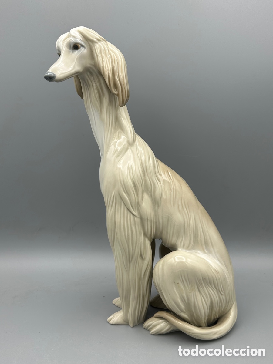 Antig&uuml;edades: REF: 01001069 &ldquo;GALGO NOBLE&rdquo; AFGANO LLADR&Oacute; - Foto 4