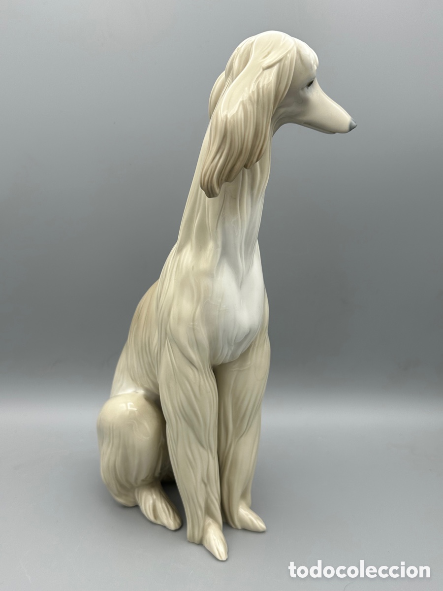 Antig&uuml;edades: REF: 01001069 &ldquo;GALGO NOBLE&rdquo; AFGANO LLADR&Oacute; - Foto 7