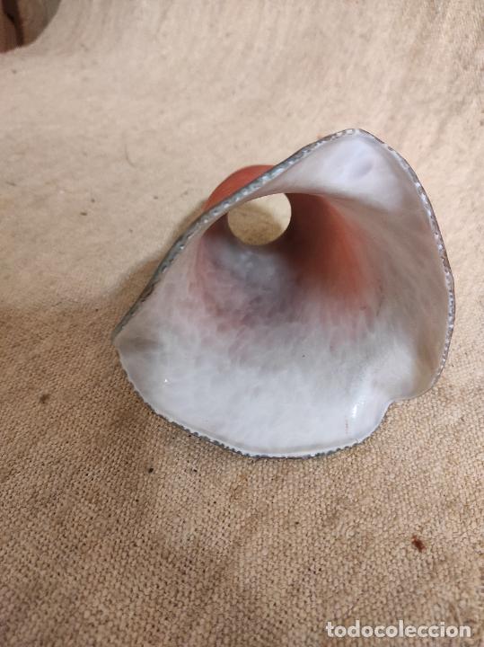 Antig&uuml;edades: tulipa de crisal - Foto 2