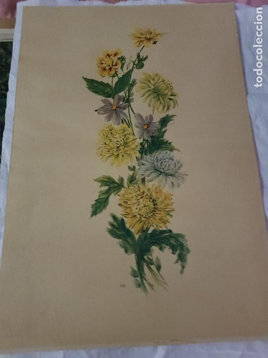 Antig&uuml;edades: FLOR 44X62 CM - Foto 1
