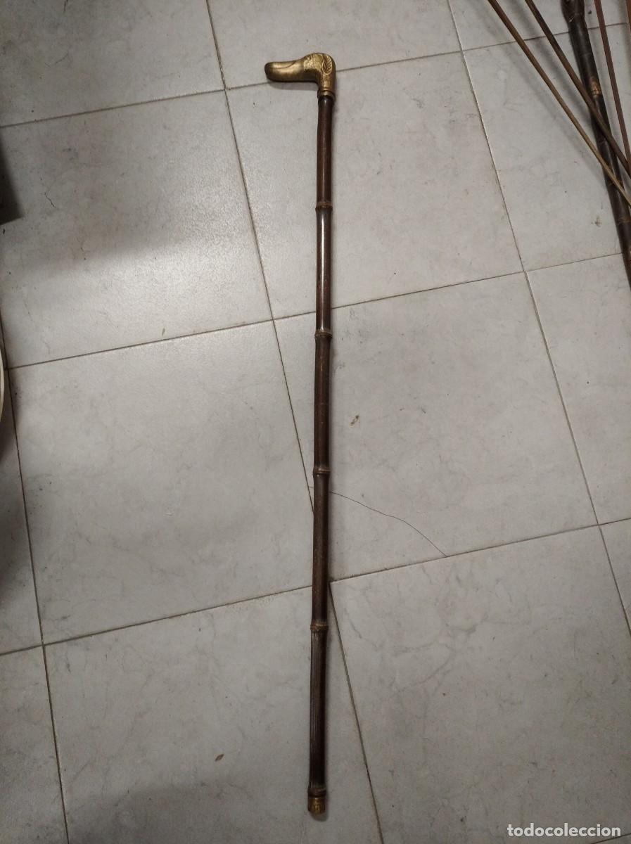 Antig&uuml;edades: ANTIGUO BASTON DE COLECCION CON MANGO DE CABEZA DE PERRO EN BRONCE - Foto 1
