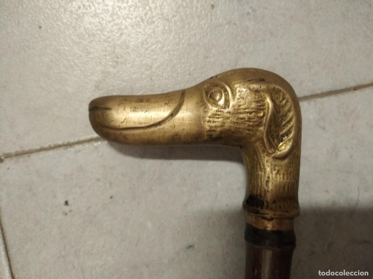 Antig&uuml;edades: ANTIGUO BASTON DE COLECCION CON MANGO DE CABEZA DE PERRO EN BRONCE - Foto 2