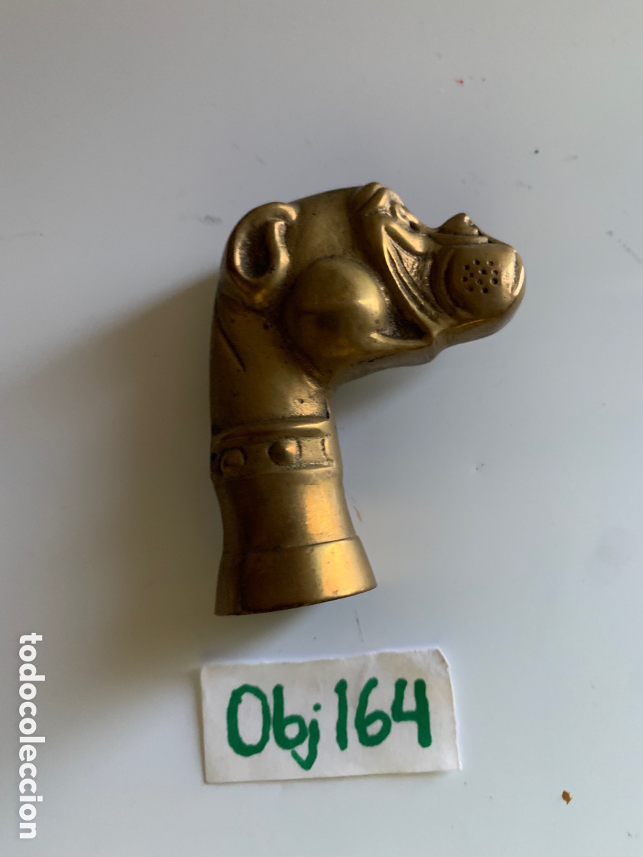 Antig&uuml;edades: Perro lat&oacute;n - Foto 2