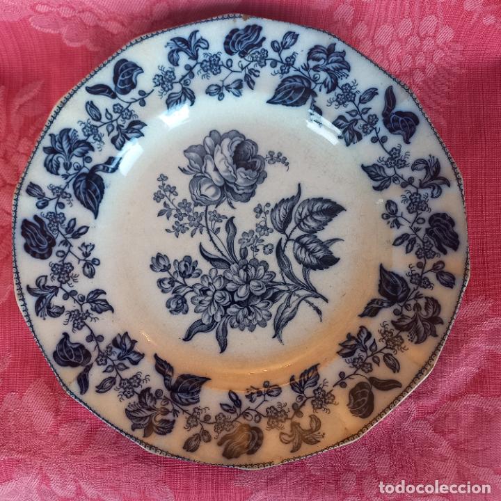 sargadelos elegante plato llano azul oscuro ser - Comprar Porcelanas e  Cerâmica de Sargadelos no todocoleccion