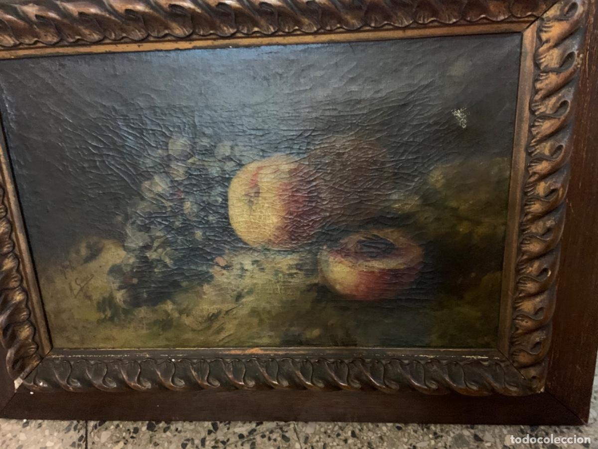 Antig&uuml;edades: Bodeg&oacute;nes antiguos 1 - Foto 1
