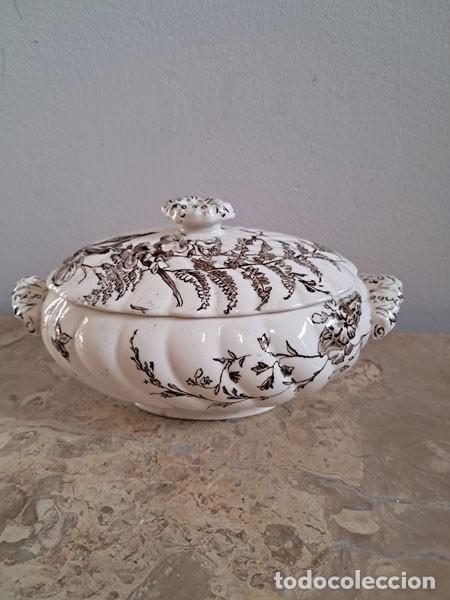 Antig&uuml;edades: PEQUE&Ntilde;A SOPERA DE PORCELANA INGLESA DEVON - Foto 1