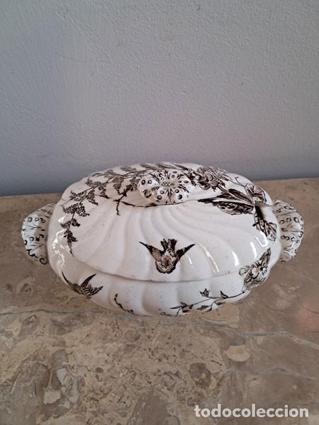 Antig&uuml;edades: PEQUE&Ntilde;A SOPERA DE PORCELANA INGLESA DEVON - Foto 3