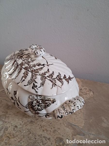 Antig&uuml;edades: PEQUE&Ntilde;A SOPERA DE PORCELANA INGLESA DEVON - Foto 5
