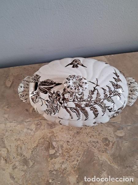 Antig&uuml;edades: PEQUE&Ntilde;A SOPERA DE PORCELANA INGLESA DEVON - Foto 6