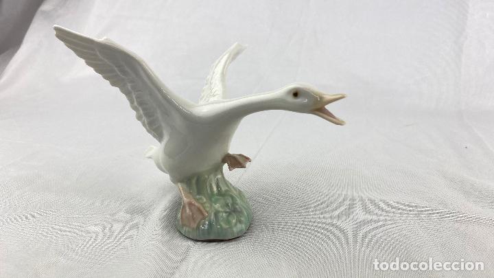 Antig&uuml;edades: Lladr&oacute; colecci&oacute;n hist&oacute;rica PATO - Foto 2