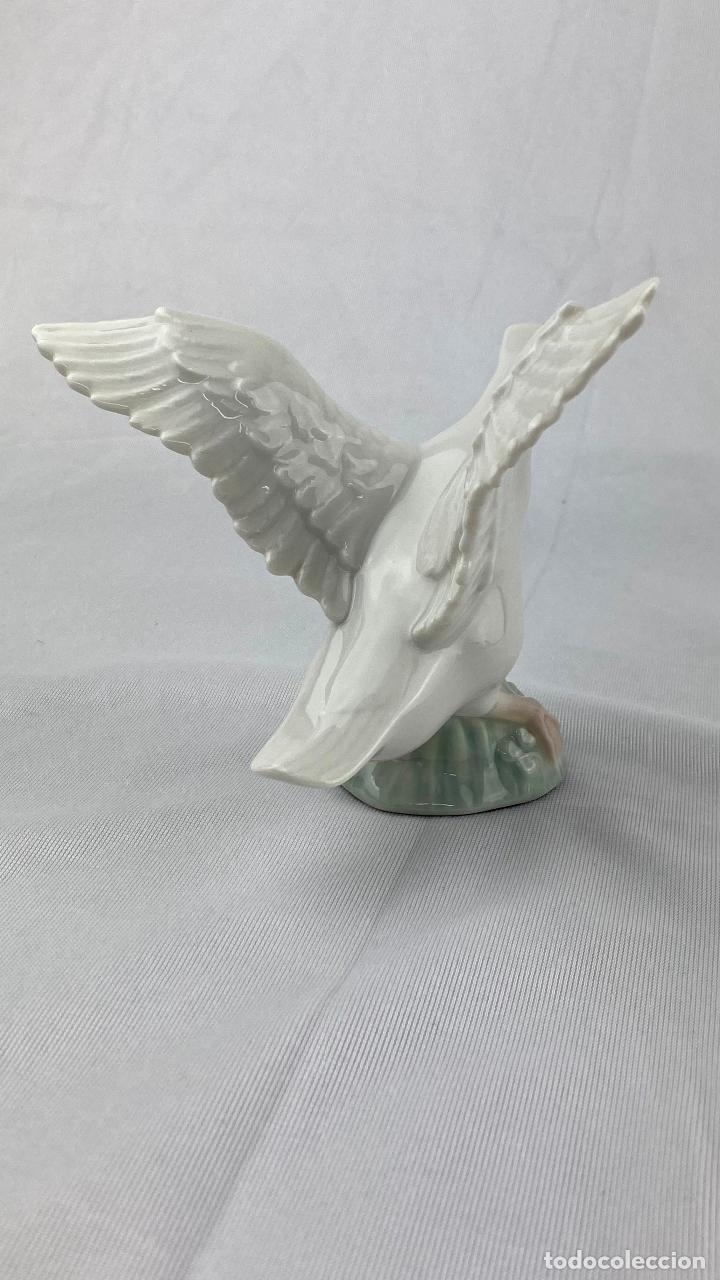 Antig&uuml;edades: Lladr&oacute; colecci&oacute;n hist&oacute;rica PATO - Foto 4