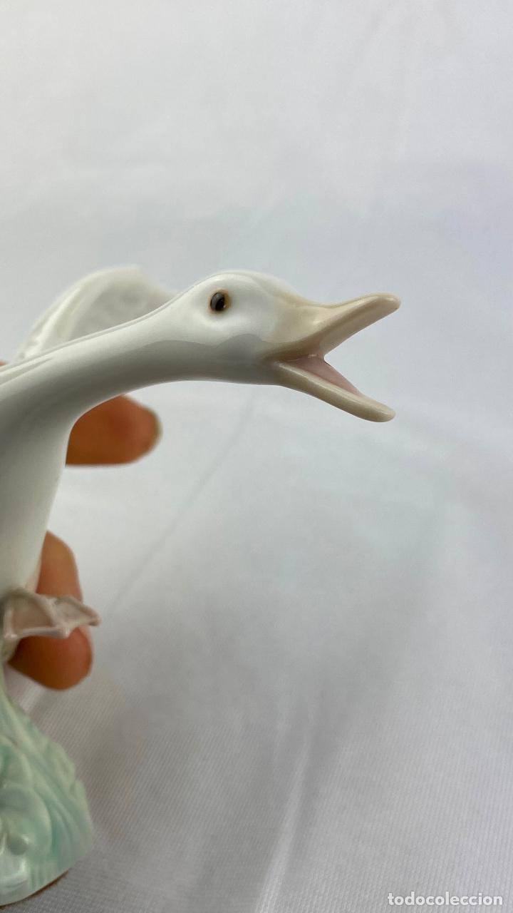 Antig&uuml;edades: Lladr&oacute; colecci&oacute;n hist&oacute;rica PATO - Foto 5