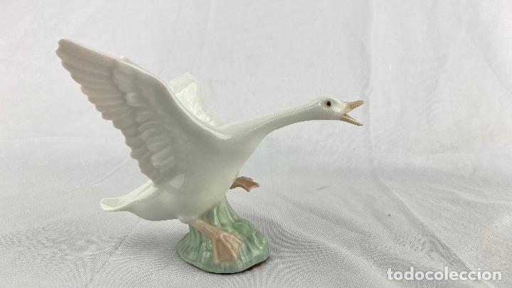 Antig&uuml;edades: Lladr&oacute; colecci&oacute;n hist&oacute;rica PATO - Foto 1