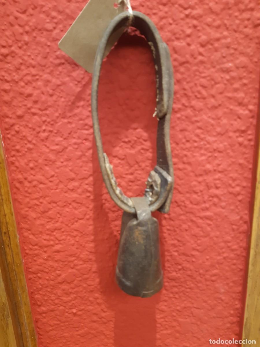 Antig&uuml;edades: CENCERROS (2) CON SUS COLLARINES. - Foto 2