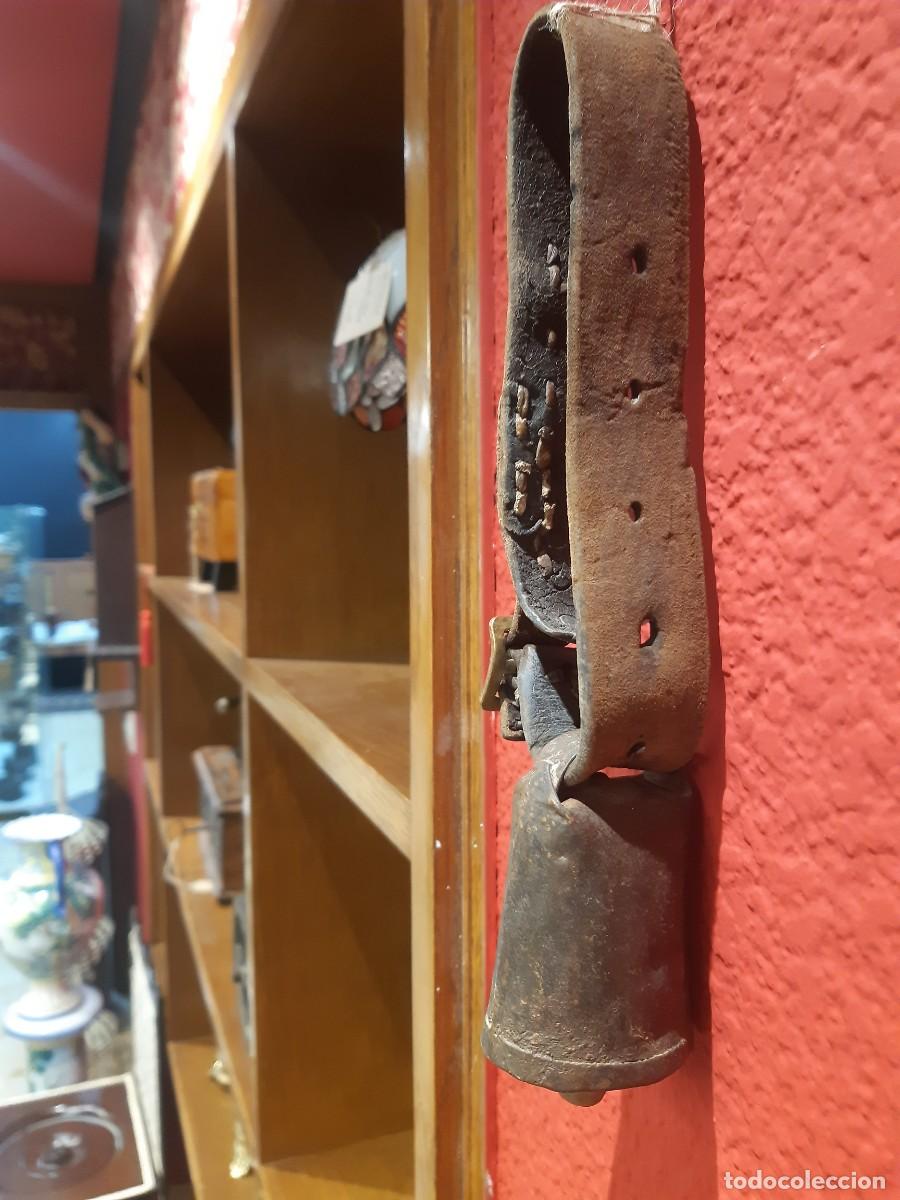 Antig&uuml;edades: CENCERROS (2) CON SUS COLLARINES. - Foto 4