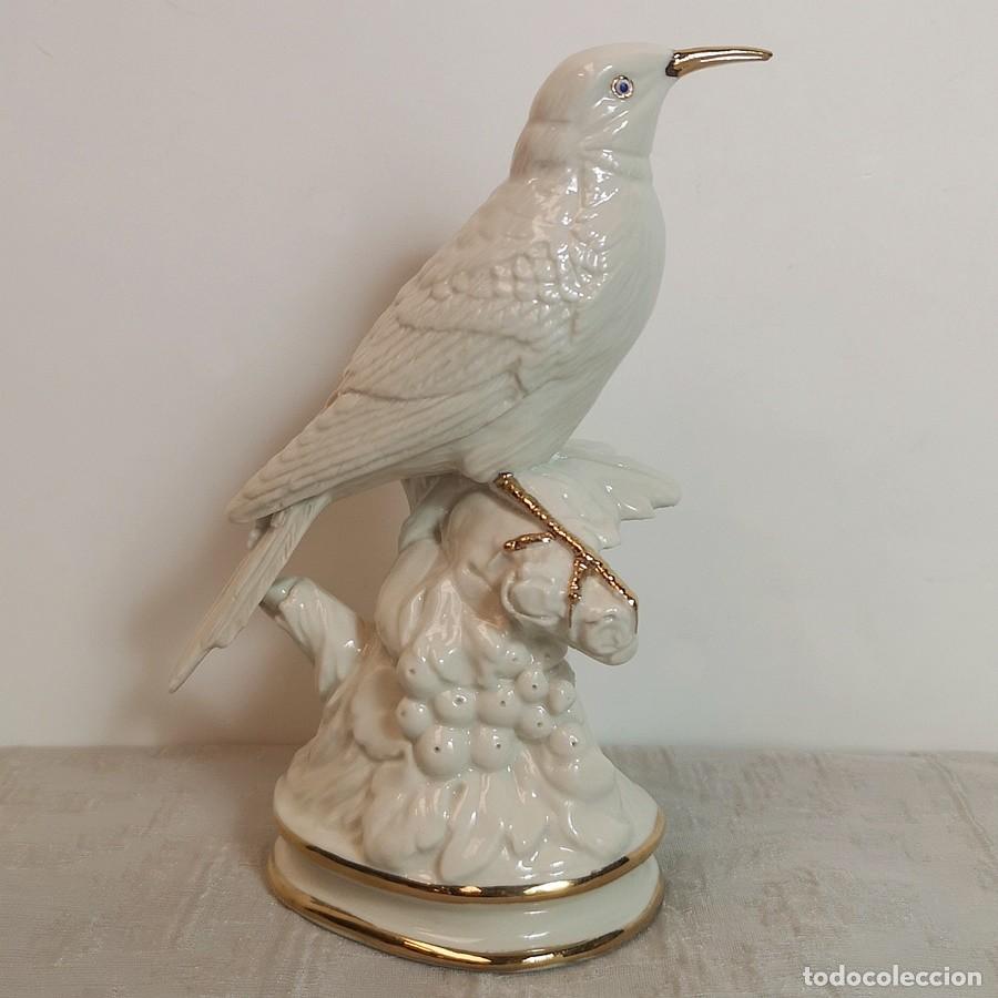 Antig&uuml;edades: P&aacute;jaro Pico de Oro - Foto 1