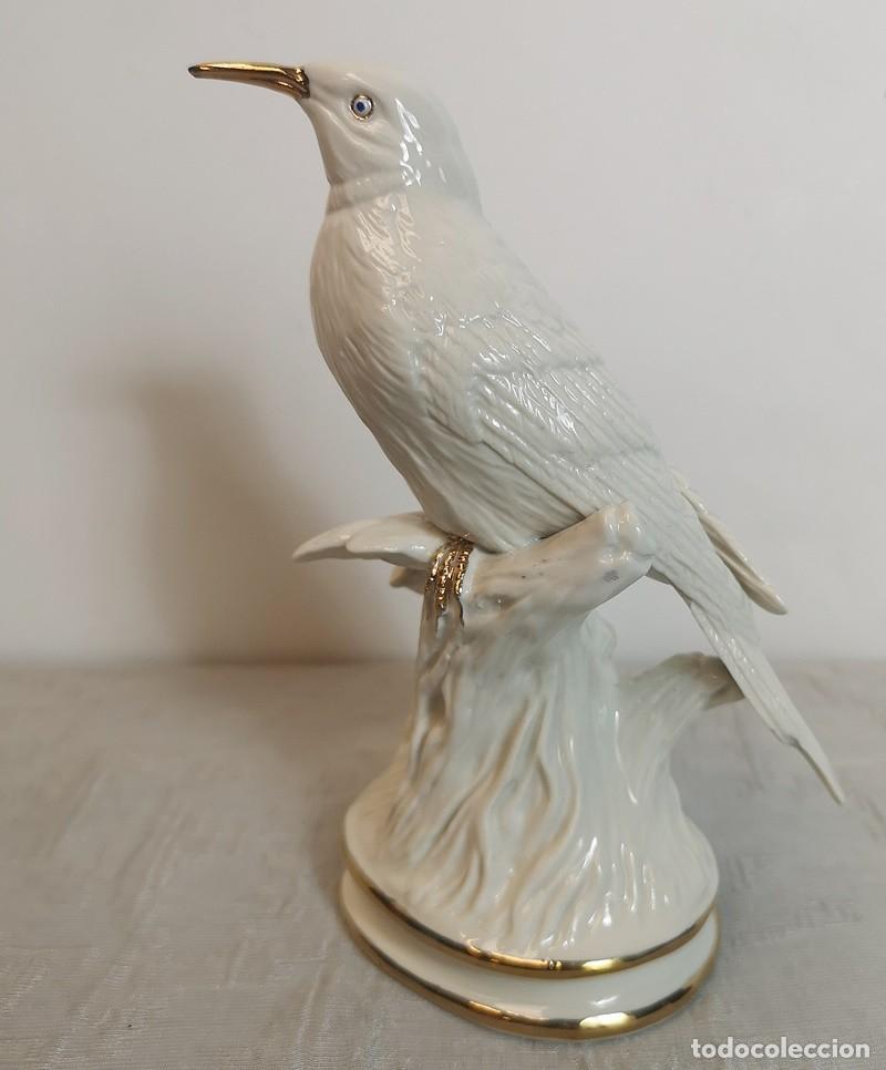 Antig&uuml;edades: P&aacute;jaro Pico de Oro - Foto 3