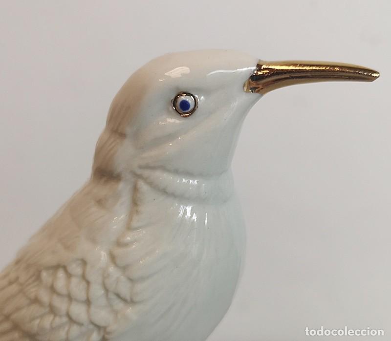 Antig&uuml;edades: P&aacute;jaro Pico de Oro - Foto 5