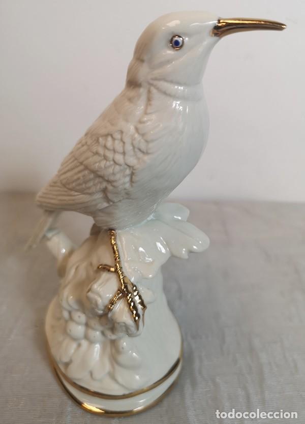 Antig&uuml;edades: P&aacute;jaro Pico de Oro - Foto 6