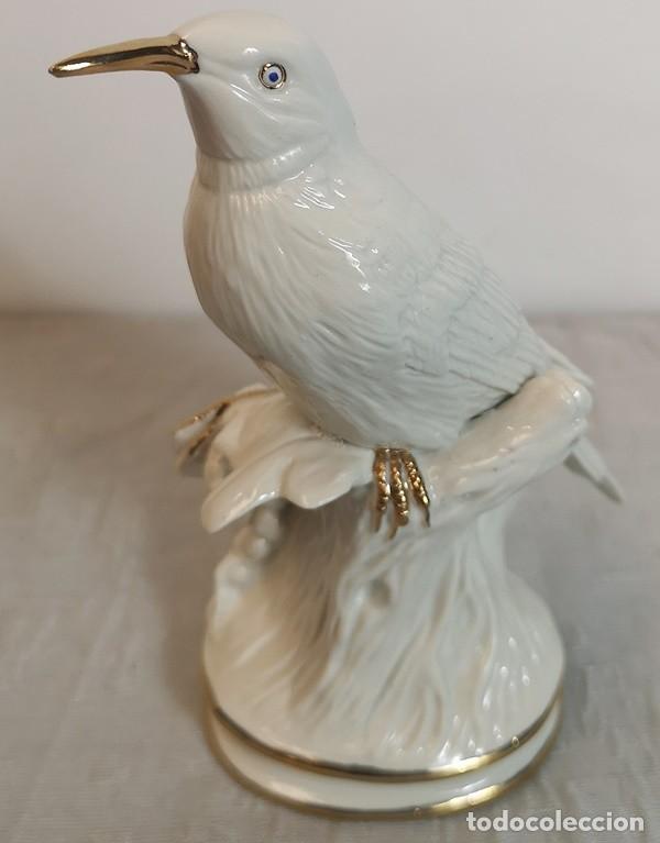Antig&uuml;edades: P&aacute;jaro Pico de Oro - Foto 7