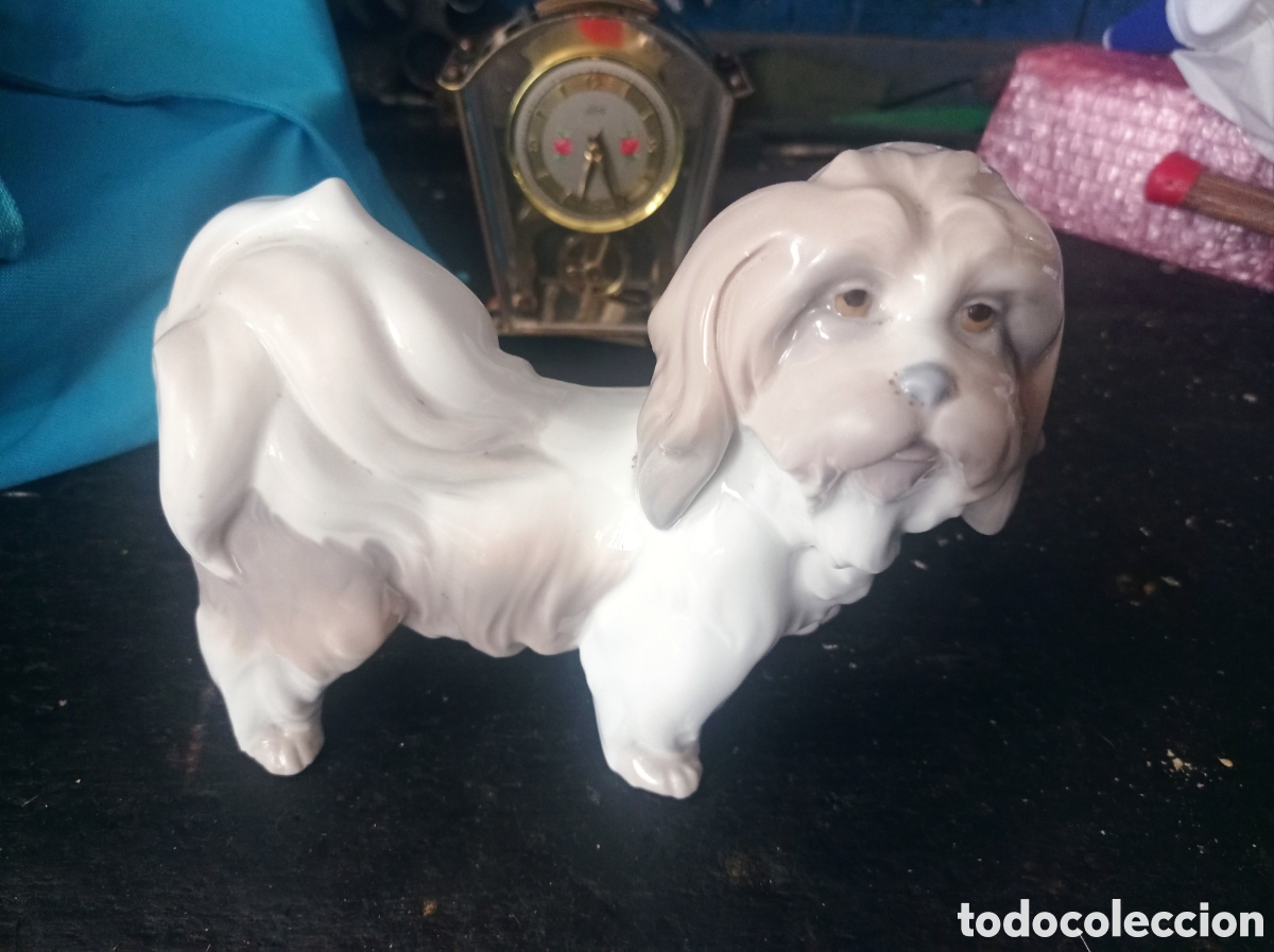 Antig&uuml;edades: Perro pekin&eacute;s de Lladr&oacute; - Foto 1
