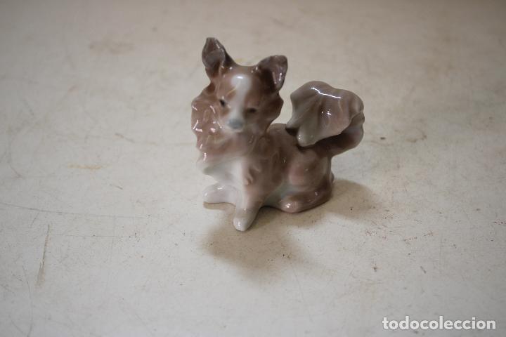 Antig&uuml;edades: perrito mariposa de lladr&oacute; - Foto 4