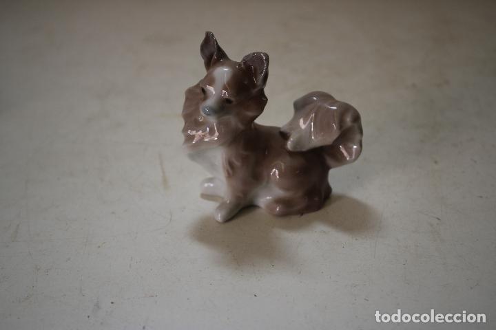 Antig&uuml;edades: perrito mariposa de lladr&oacute; - Foto 1