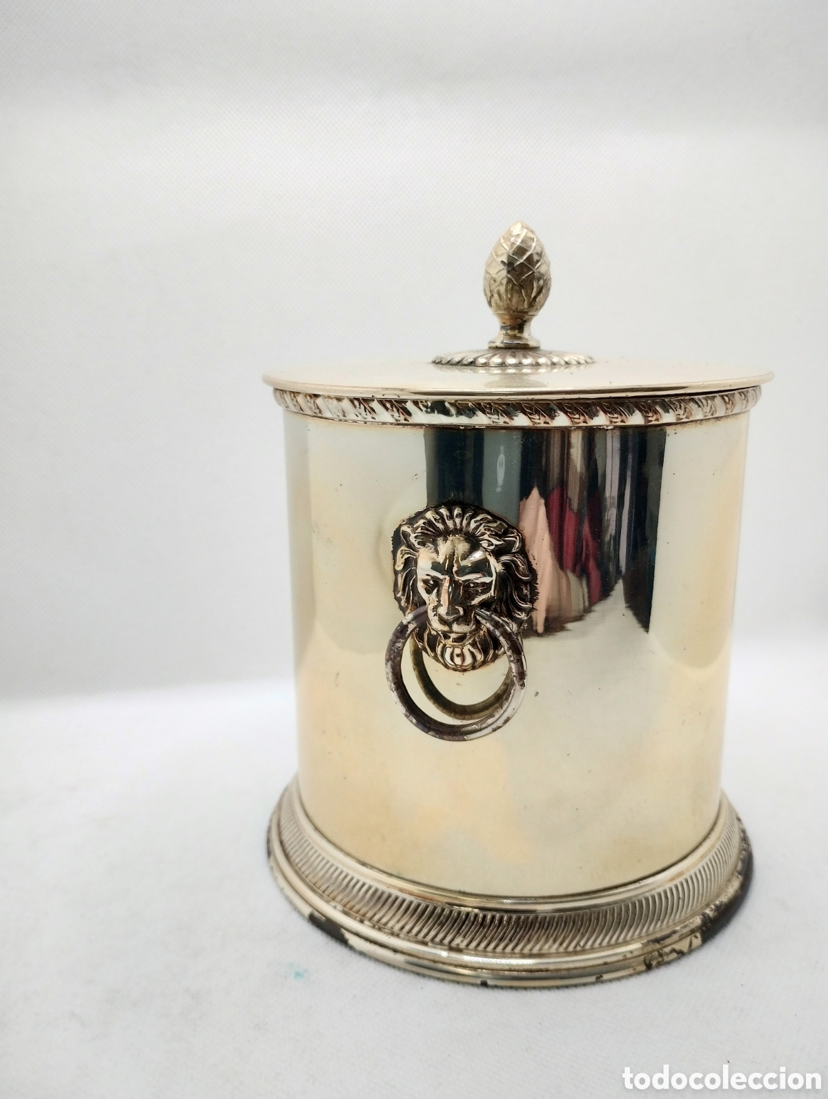 Antiguidades: Cubitera con leones en capitel y tapa