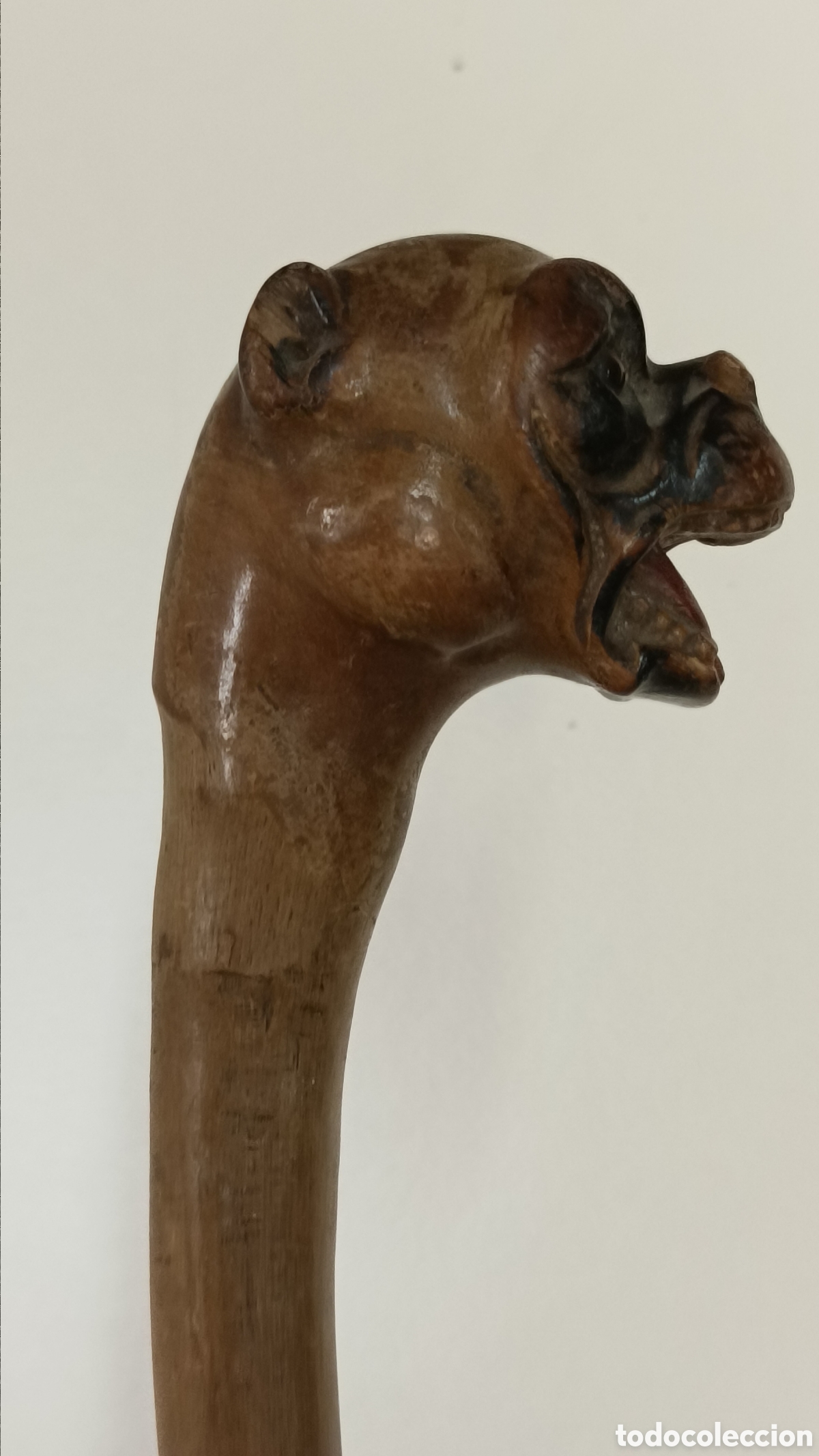 Antig&uuml;edades: Bast&oacute;n madera empu&ntilde;adura perro - Foto 1