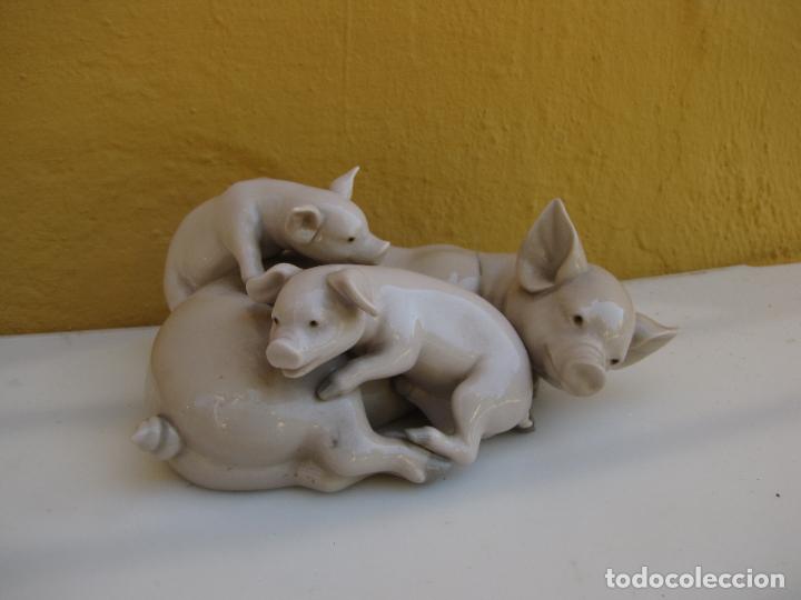 Antig&uuml;edades: 60.- Cerdos, cochinos, marranos de Lladr&oacute; - Foto 1