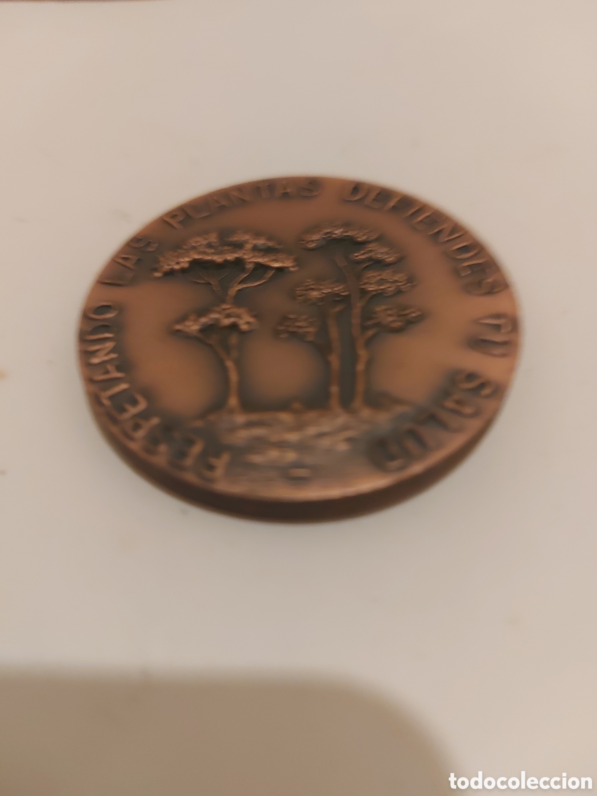 Antiques: Commemorativa plantas