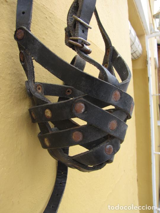 Antig&uuml;edades: 68.- Bozal de cuero - Foto 2