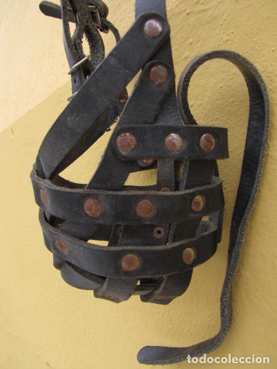 Antig&uuml;edades: 68.- Bozal de cuero - Foto 3