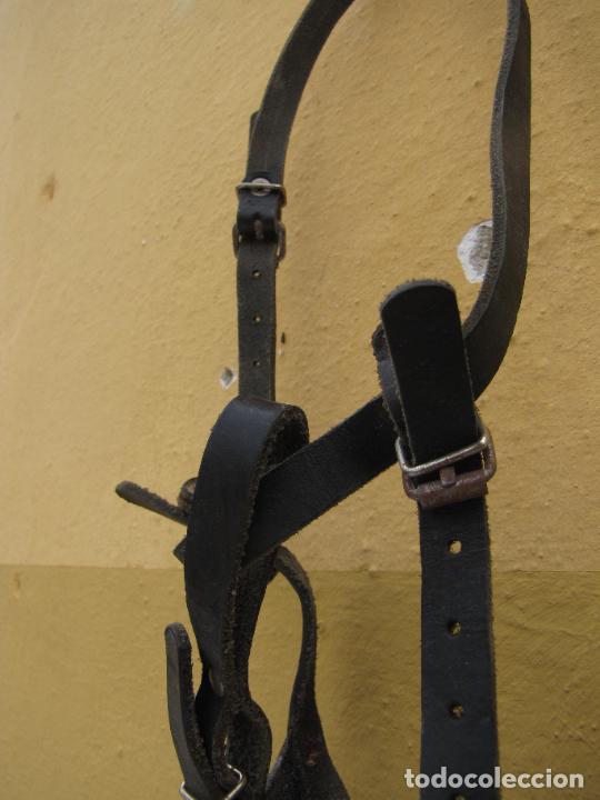 Antig&uuml;edades: 68.- Bozal de cuero - Foto 4