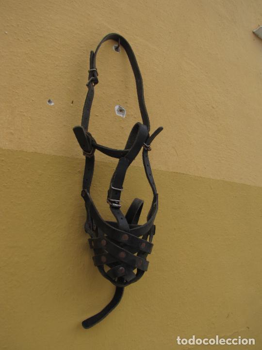 Antig&uuml;edades: 68.- Bozal de cuero - Foto 1