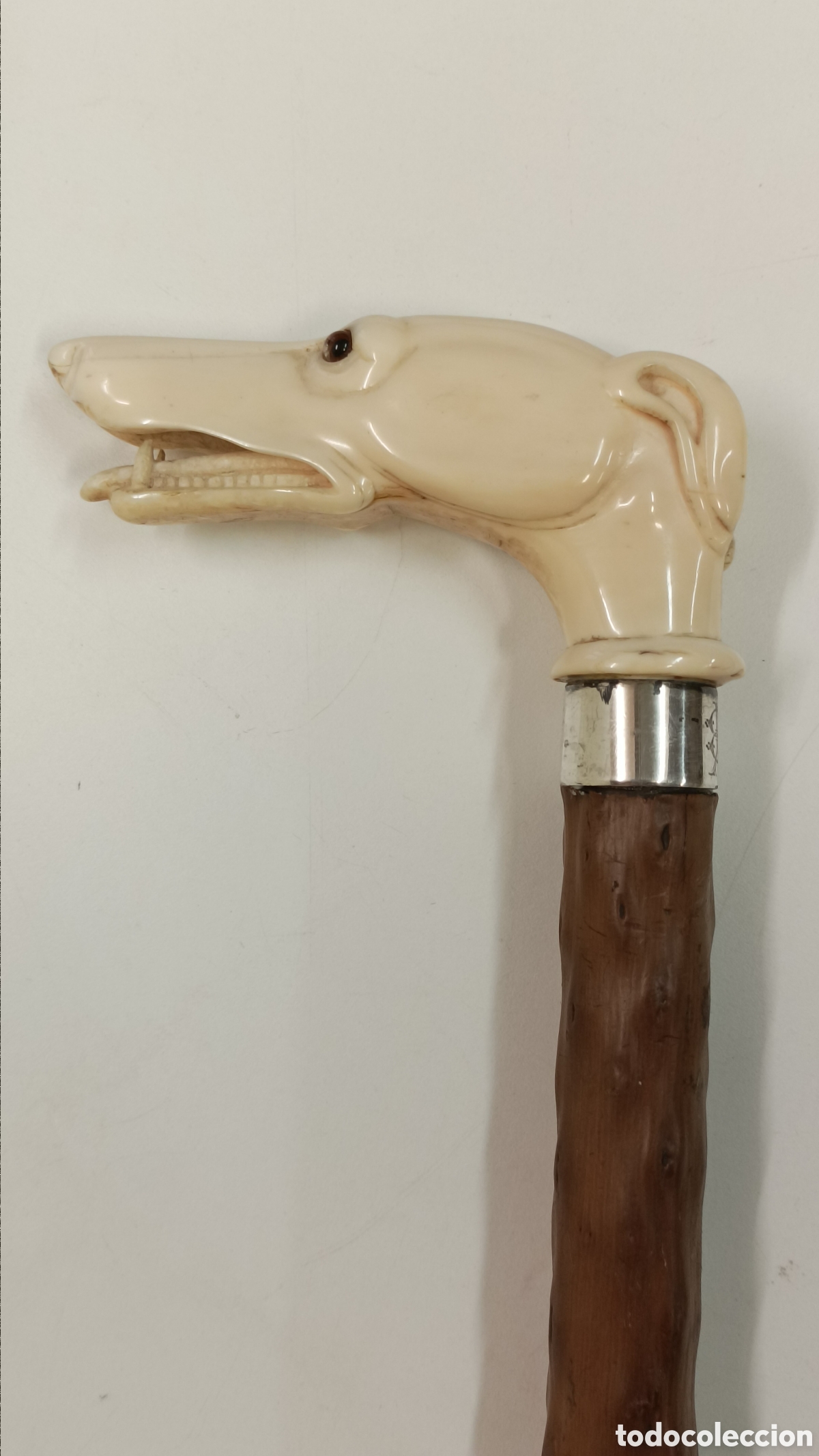 Antig&uuml;edades: Bast&oacute;n perro galgo Marf.? - Foto 1