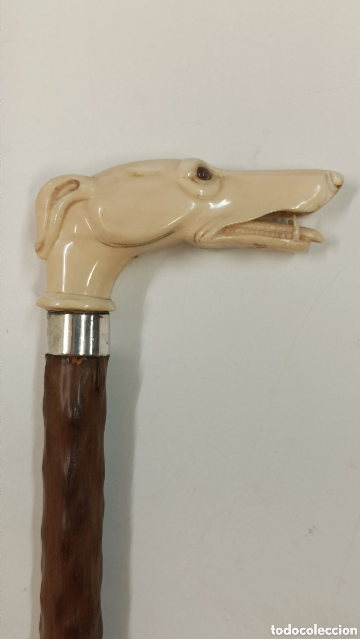 Antig&uuml;edades: Bast&oacute;n perro galgo Marf.? - Foto 3