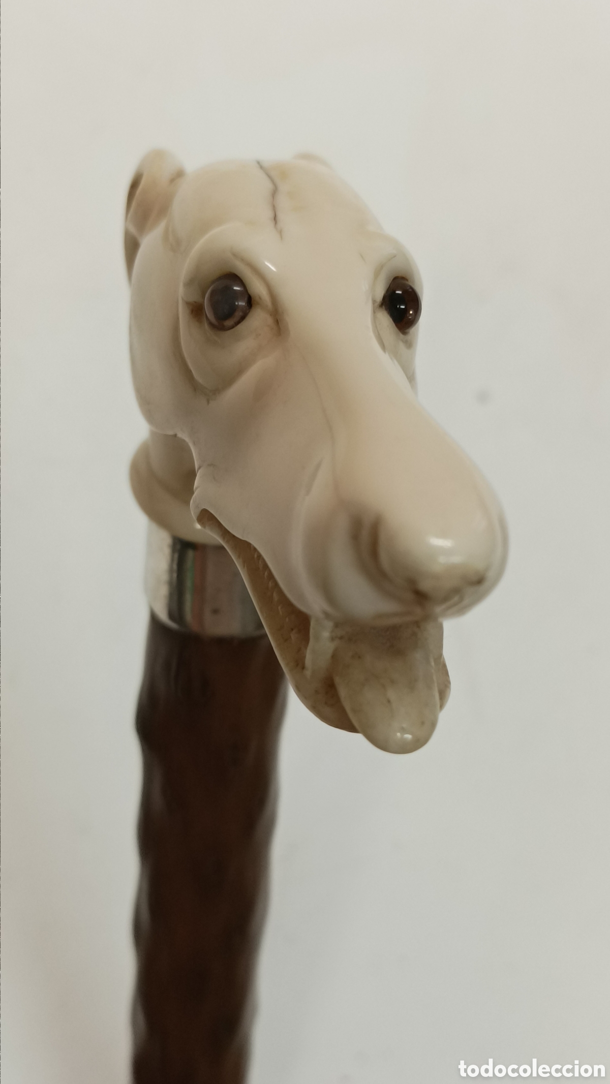 Antig&uuml;edades: Bast&oacute;n perro galgo Marf.? - Foto 9